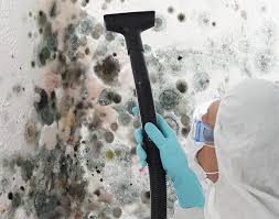 Why You Should Choose Our Mold Remediation Services in Leesburg, GA